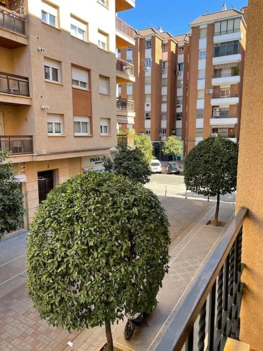 Apartamento Zoco กอร์โดบา ภายนอก รูปภาพ